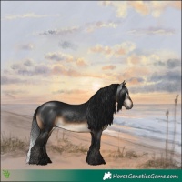 Horse Color:Gray Brown 