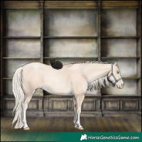 Horse Color:Gold Cream Champagne Pearl 
