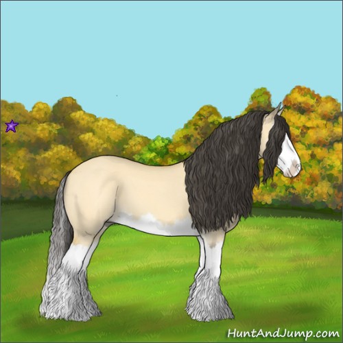 Horse Color:Buckskin Dun Splash 