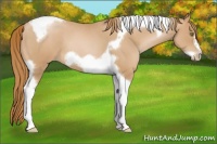 Horse Color:Red Roan Pearl Tobiano Frame 