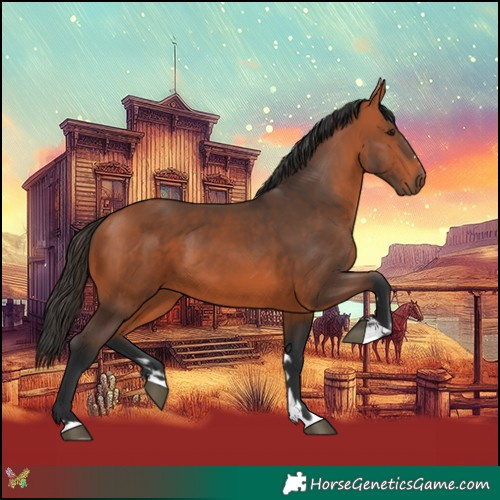 Horse Color:Bay 