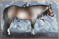 Horse Color:Gray White Spotted Brown 