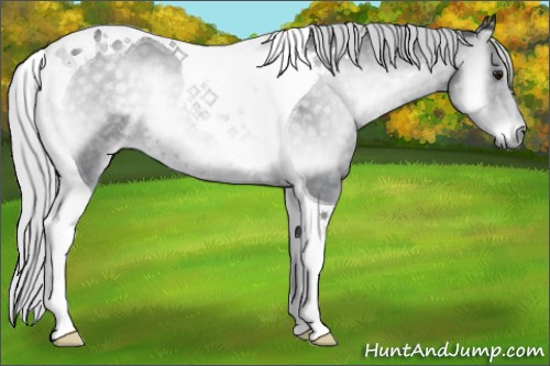 Horse Color:Silver Blue Onyx Chinchilla Tobiano