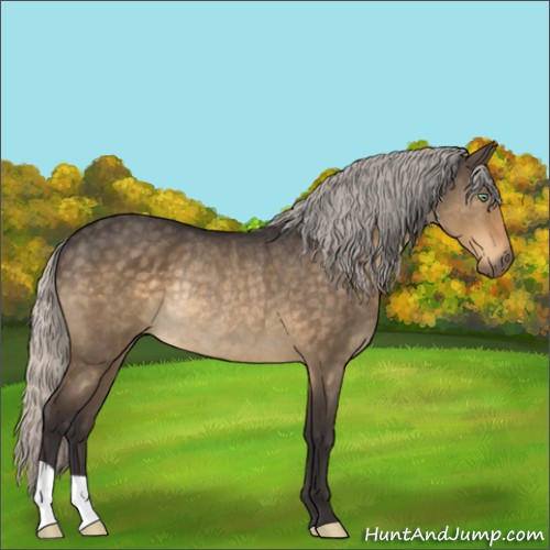 Horse Color:Silver Buckskin Dun Mushroom Rabicano 