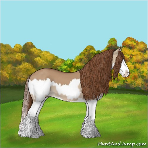 Horse Color:Red Dun Splash and Red Dun Splash