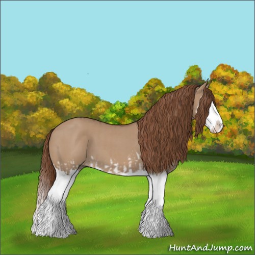 Horse Color:Red Dun Splash  and Red Dun Splash 