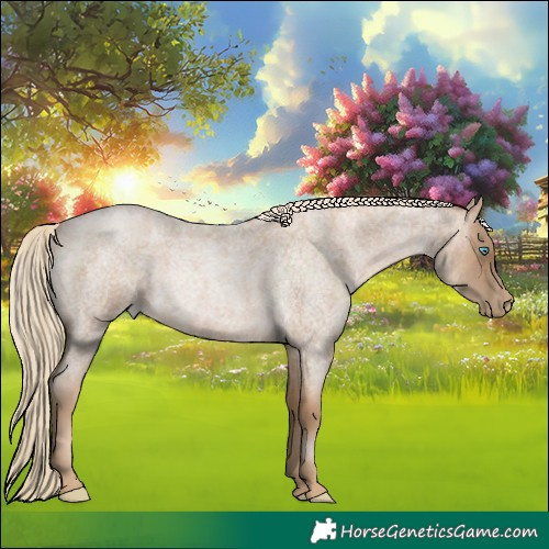 Horse Color:Chocolate Palomino Roan Pearl 