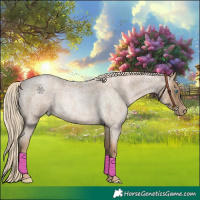 Horse Color:Chocolate Palomino Roan Pearl 