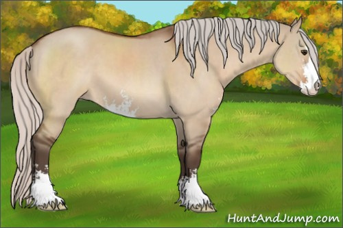 Horse Color:Silver Brown Dun Sabino 