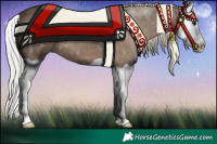 Horse Color:Silver Grullo Splash 