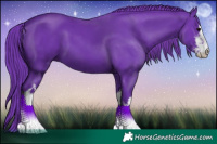 Horse Color:Watercolor White Spotted Black 