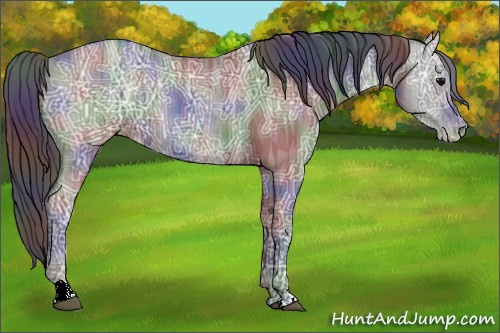 Horse Color:Nacre Black Ice Appaloosa 