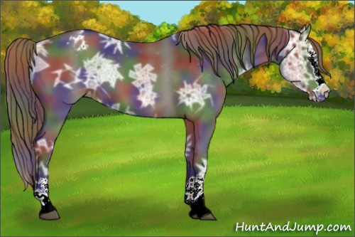 Horse Color:Nacre Smoky Black Ice Sabino Splash Appaloosa 