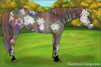 Horse Color:Nacre Smoky Black Ice Sabino Splash Appaloosa
