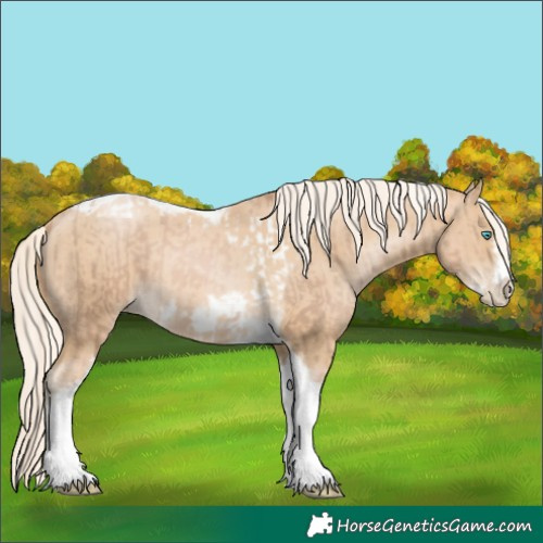 Horse Color:Chocolate Palomino Pearl Tobiano Frame  and Palomino Pearl Tobiano Frame 