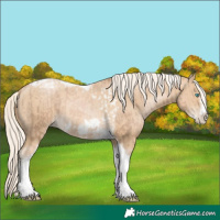 Horse Color:Chocolate Palomino Pearl Tobiano Frame and Palomino Pearl Tobiano Frame