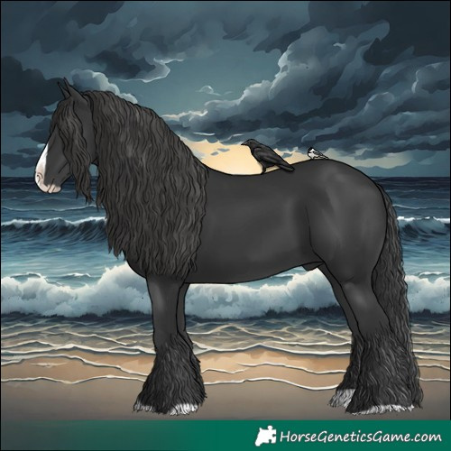Horse Color:Black Splash