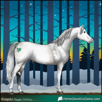 Horse Color:Gray White Spotted Brown Dun Tobiano 