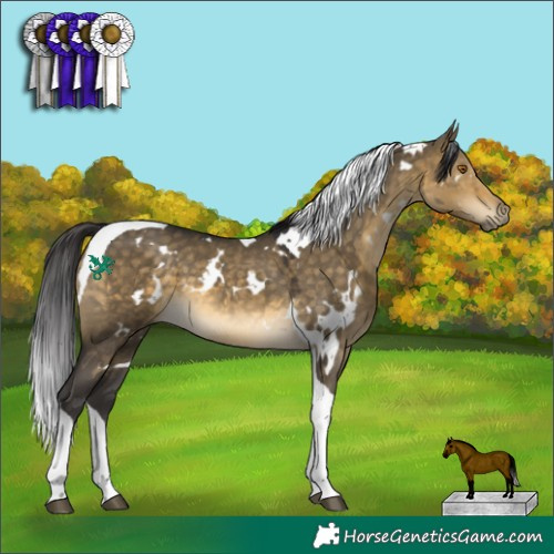 Horse Color:White Spotted Buckskin Dun Tobiano