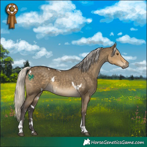 Horse Color:White Spotted Silver Smoky Grullo Tobiano 