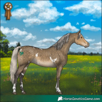 Horse Color:White Spotted Silver Smoky Grullo Tobiano 