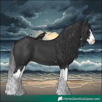 Horse Color:Black Splash 