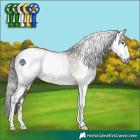 Horse Color:Gray Buckskin Dun Sabino 