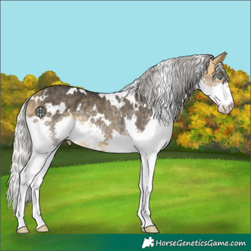 Horse Color:White Spotted Silver Buckskin Mushroom Splash Rabicano 