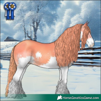 Horse Color:Watercolor Gold Champagne Splash 