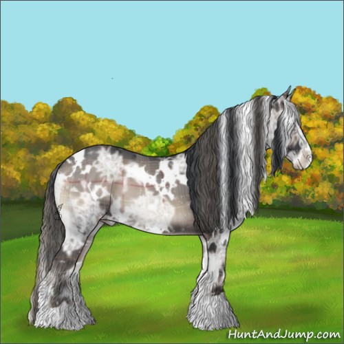 Horse Color:Plaid  White Spotted Blue Onyx Ice 