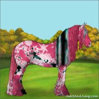 Horse Color:Watercolor White Spotted Chestnut Ice Rabicano 
