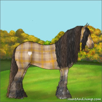 Horse Color:Plaid  Bay Dun 