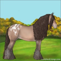 Horse Color:Amber Champagne Mushroom Appaloosa 