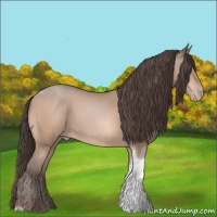 Horse Color:Amber Champagne Tobiano Appaloosa 