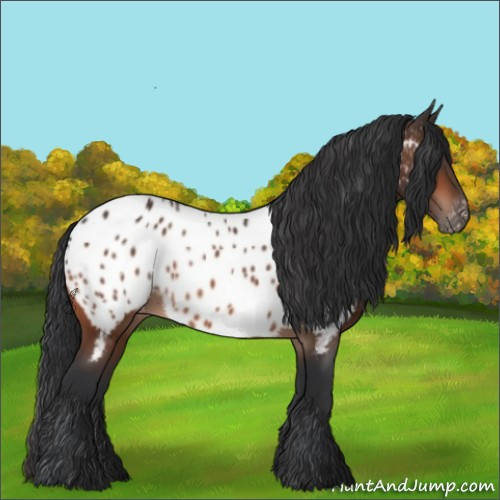 Horse Color:Bay Near Leopard 