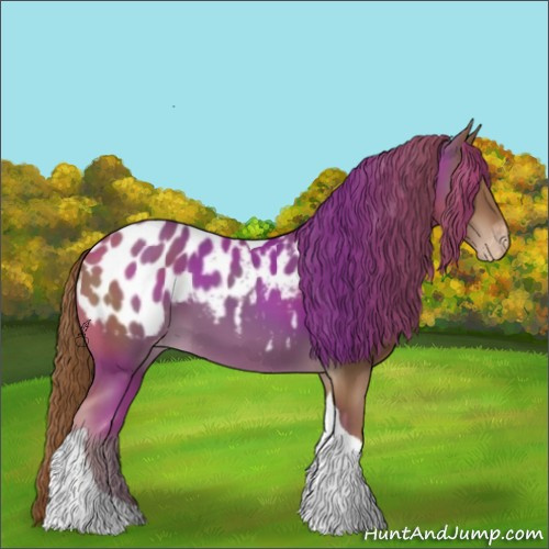 Horse Color:Chestnut Tobiano Blanket 