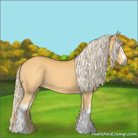 Horse Color:White Spotted Palomino 