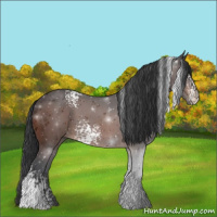 Horse Color:White Spotted Brown 