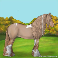 Horse Color:Red Dun Tobiano Appaloosa