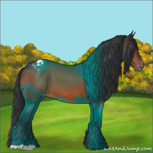 Horse Color:Bay Appaloosa 
