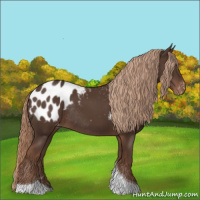 Horse Color:Liver Chestnut Tobiano Appaloosa Rabicano