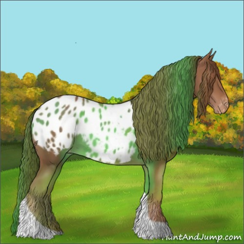 Horse Color:Chestnut Tobiano Appaloosa