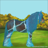 Horse Color:Thunderstruck Liver Chestnut 