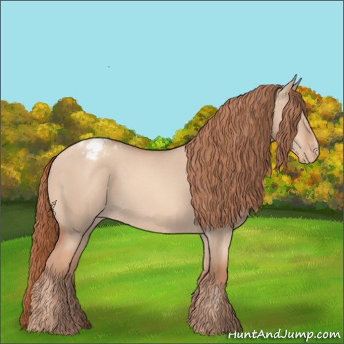 Horse Color:Gold Champagne Dun Appaloosa 