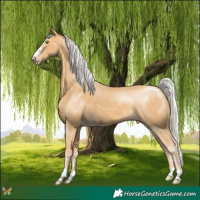 Horse Color:Silver Sable Cream Champagne 