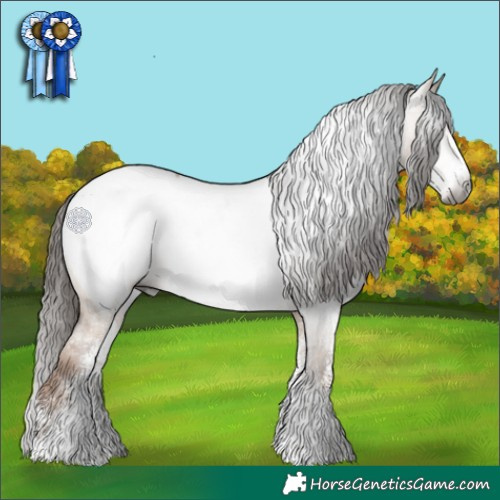 Horse Color:Gray White Spotted Liver Red Dun Appaloosa 