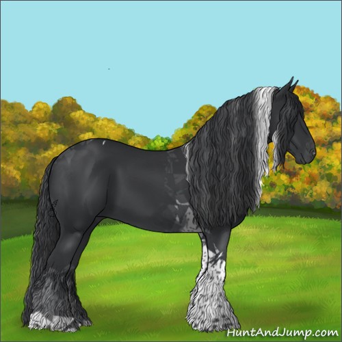 Horse Color:Black Tobiano 