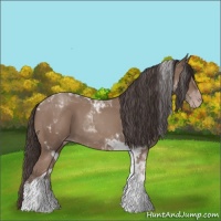 Horse Color:Classic Champagne Tobiano 