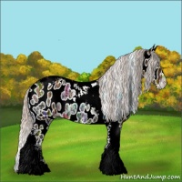 Horse Color:Silver Bay Ice Onyx Tobiano Appaloosa