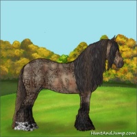 Horse Color:Plaid  Bay Ice Dun 